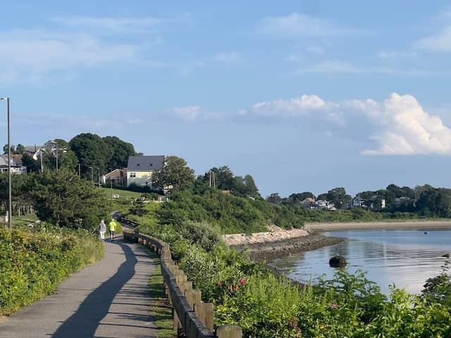 Nut Island - Image 2