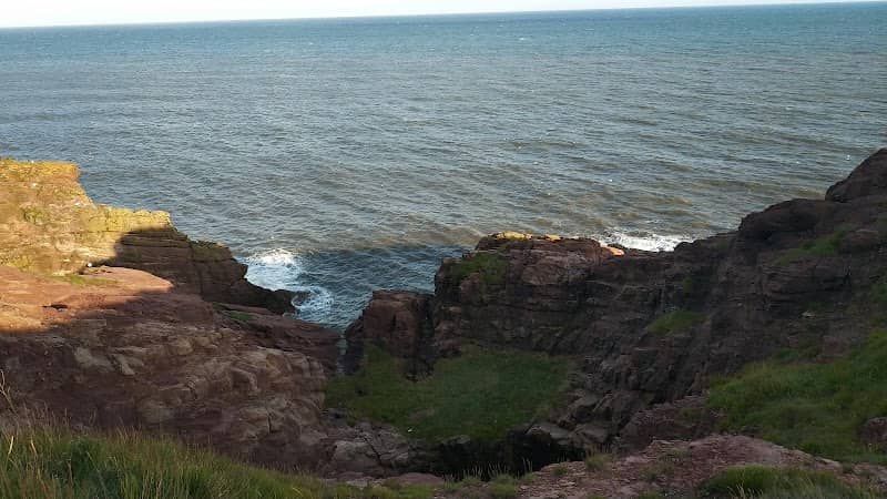 Arbroath Cliffs - Image 2