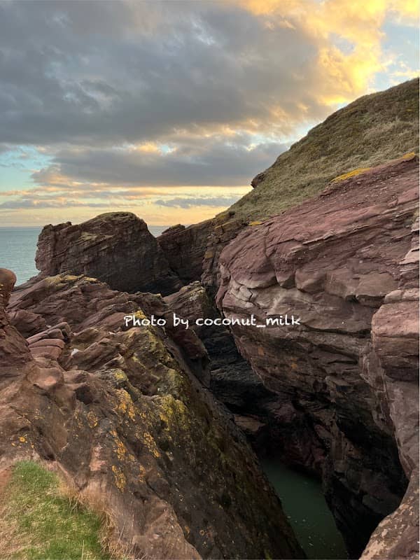 Arbroath Cliffs - Image 1
