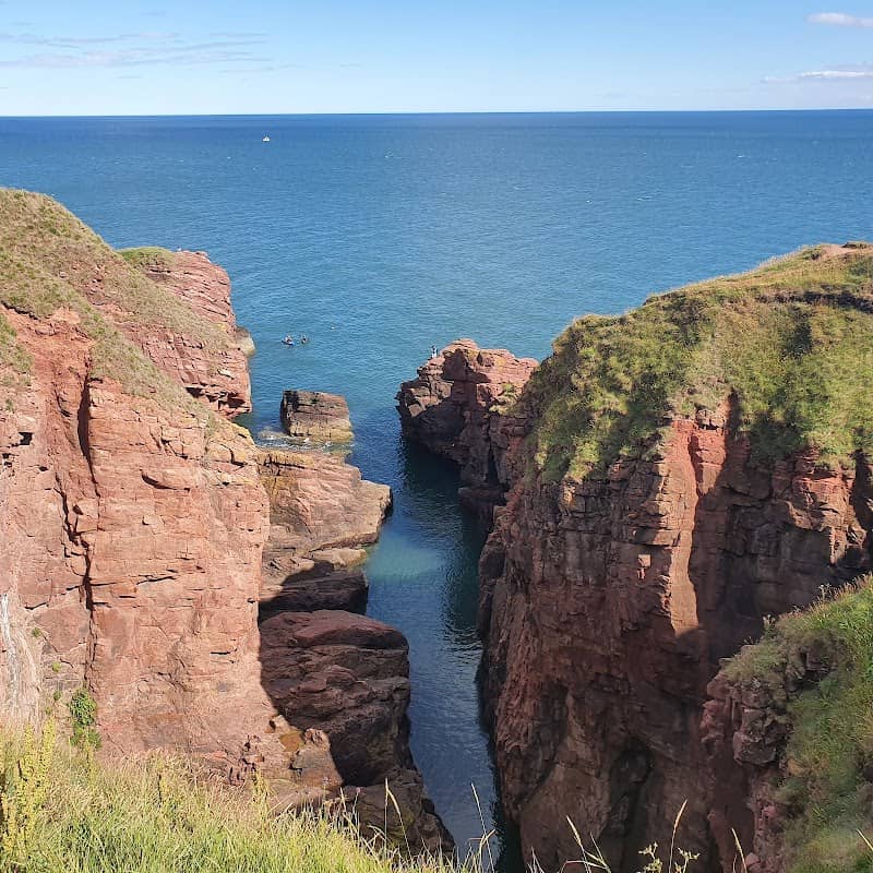 Arbroath Cliffs - Image 3