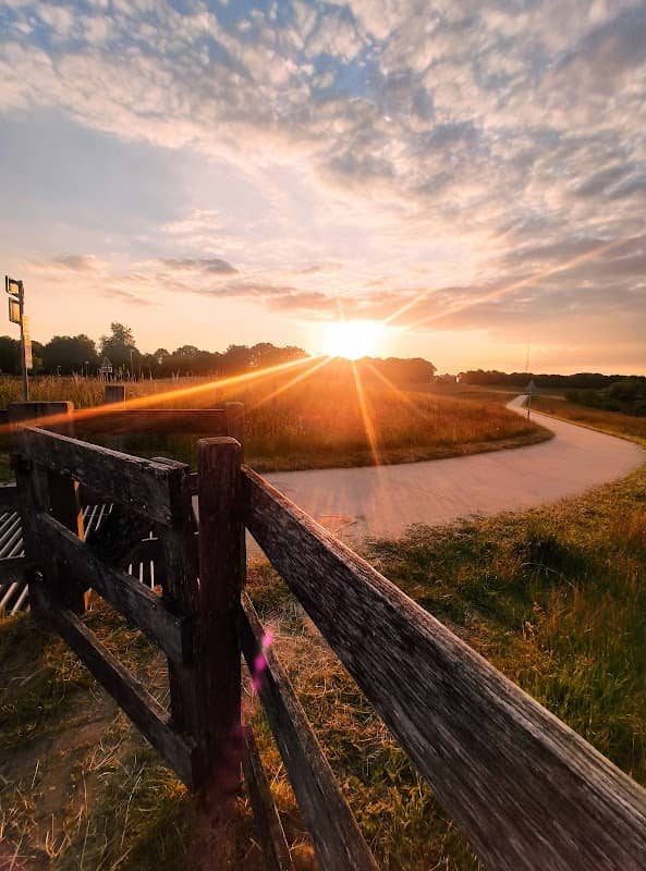 Mini Heideveldje Vechtpark - Image 2
