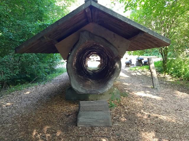 Walderlebniszentrum Grünwald - Image 1