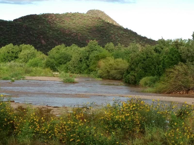 El Rio Neighborhood Park - Image 2