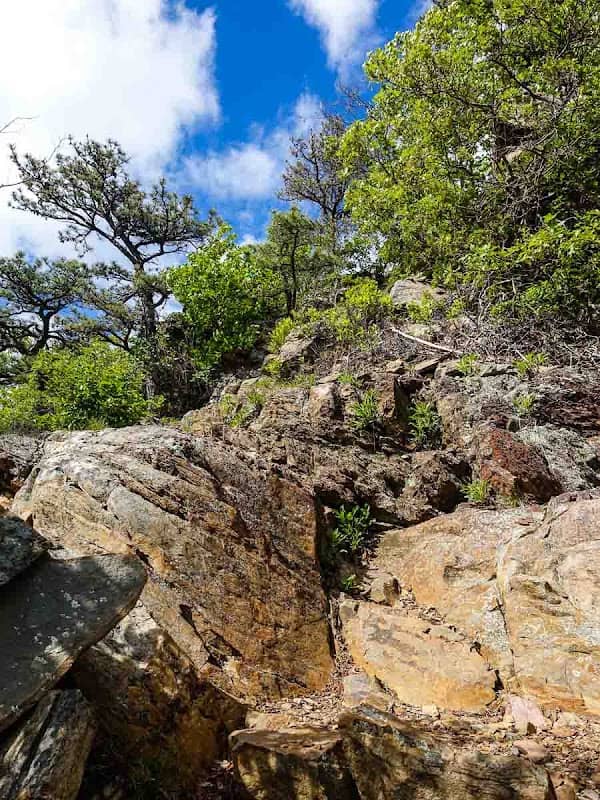 Little Knob - Image 2