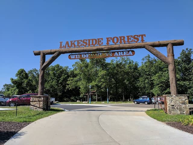 Lakeside Forest Wilderness Area - Image 1