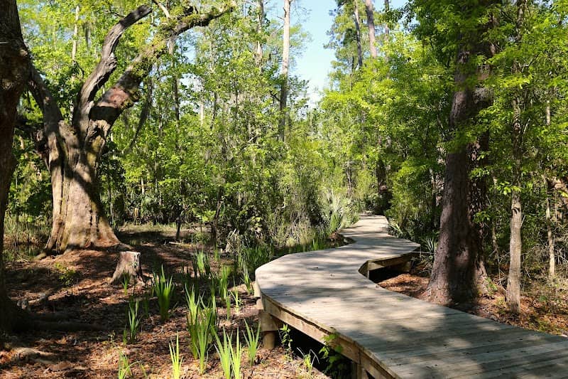 Camp Salmen Nature Park - Image 1