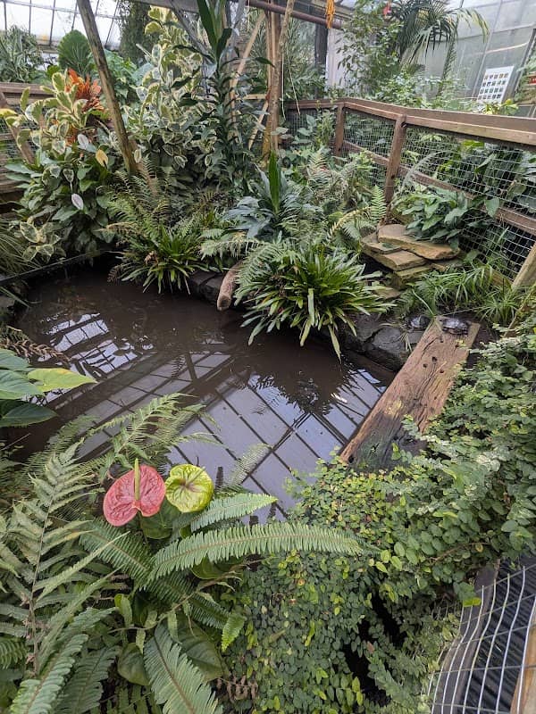 Manor Heath Jungle Experience - Image 2