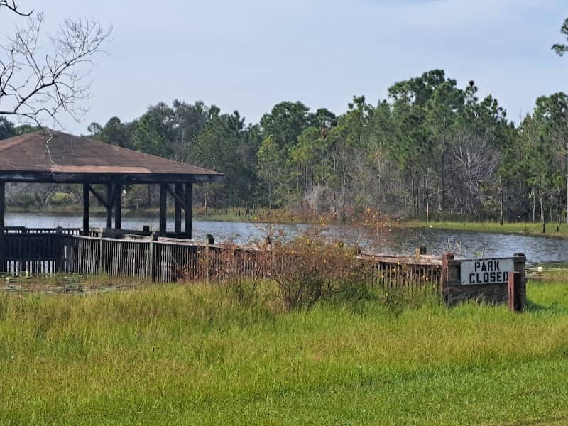 Festival Park - Image 2