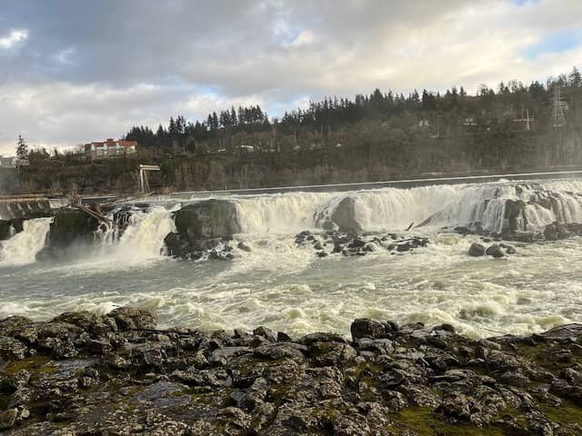 Willamette Falls - Image 3