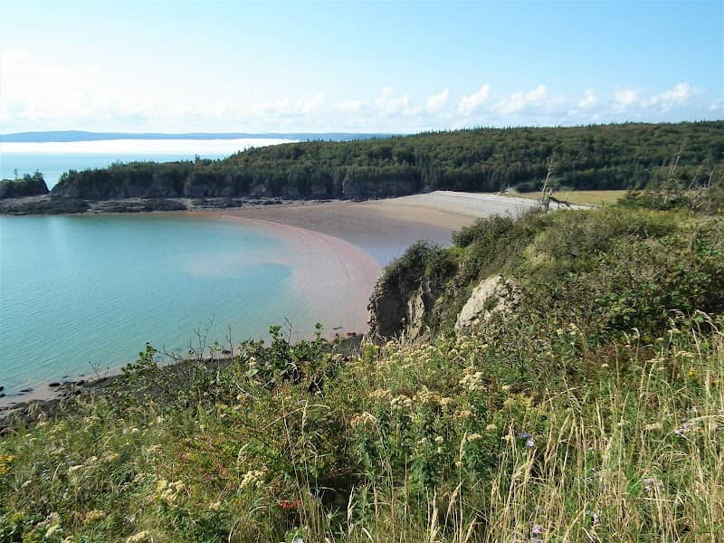 Cape Enrage Nature Preserve - Image 3