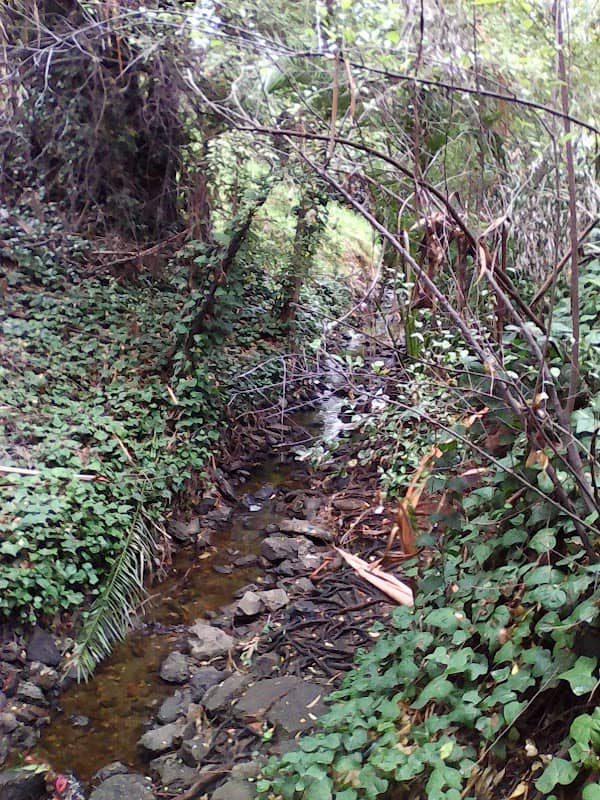 Courtland Creek Park - Image 1