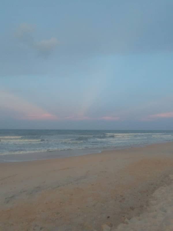Palm Coast and the Flagler Beaches - Image 2