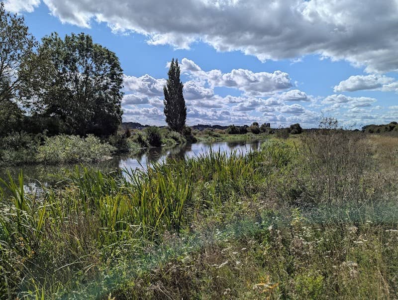 King's Mead Nature Reserve - Image 1
