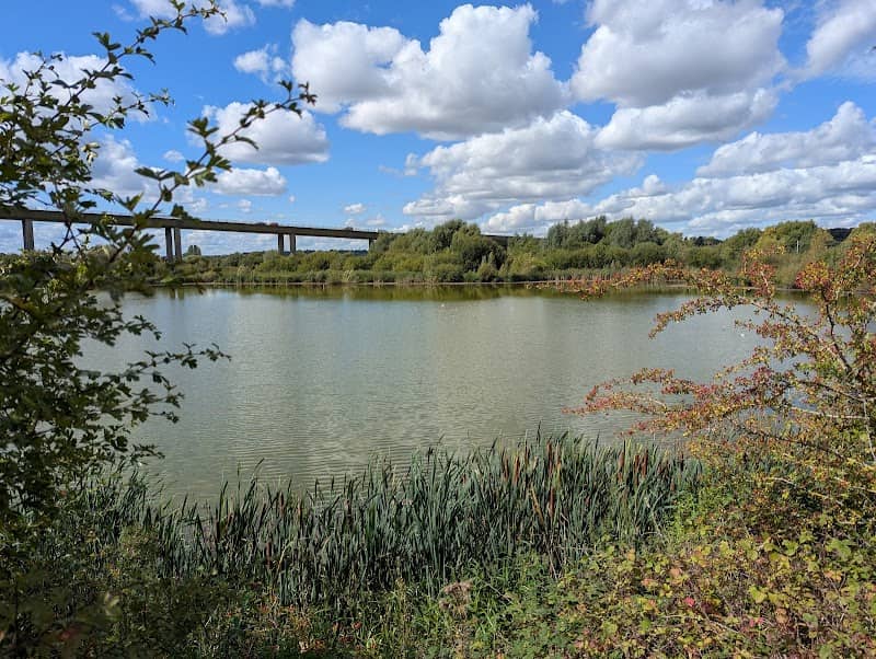 King's Mead Nature Reserve - Image 2