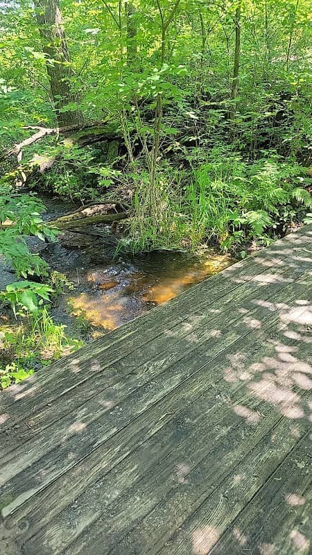 Little bridge - Image 1