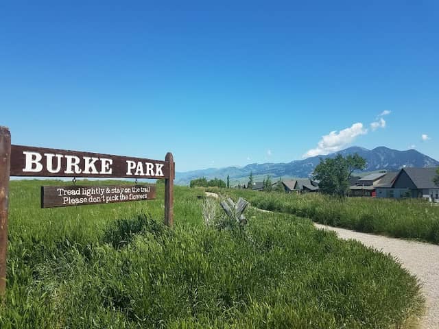Peets Hill/Burke Park - Image 2
