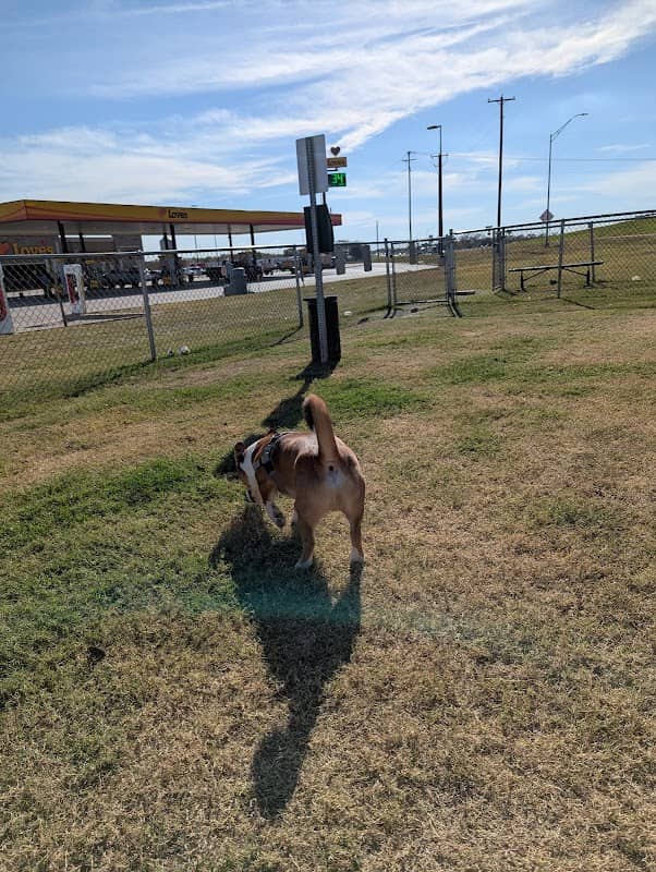 Dog Park at Love's Travel Stops - Image 1