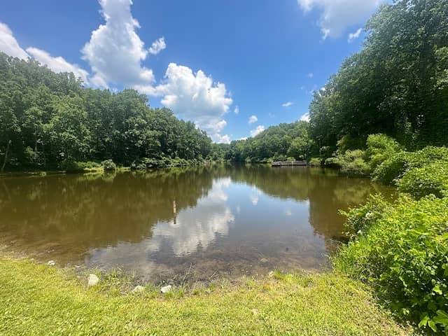Summerfield Community Park - Image 2