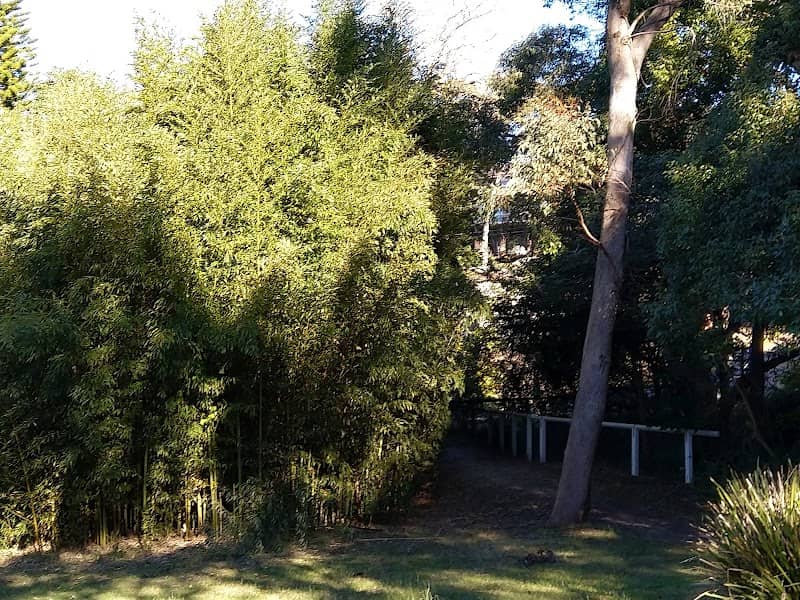 Koorangi Reserve - Image 2