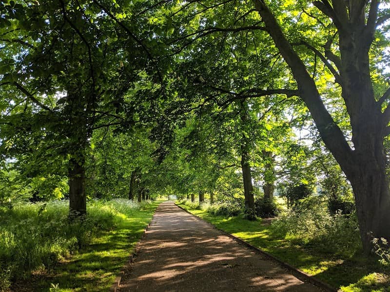 Bury Mead - Image 1