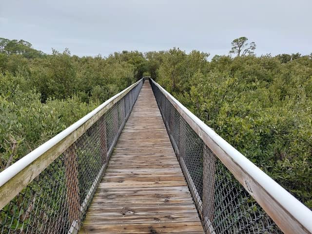 Cemetery Point Boardwalk - Image 1