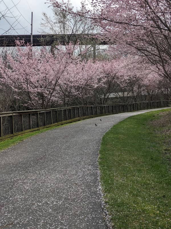 Towpath bike/Walk Pathway to Cuyahoga Valley Scenic Railway station - Image 1
