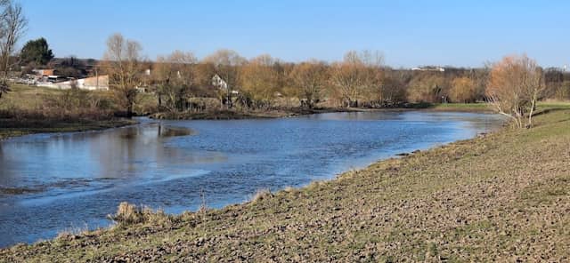 Panoramaliege am Büffelweiher - Image 1