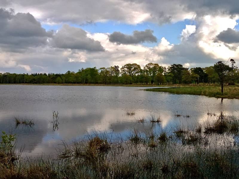 De Leersumse Plassen - Image 1