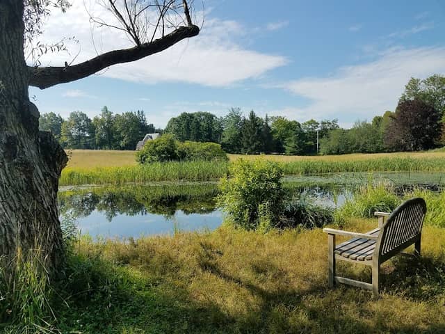 Doyle Conservation Area - Image 1