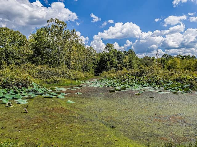 McClintic Wildlife Management Area - Image 3