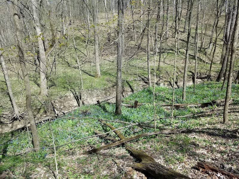 Wildcat Hollow State Habitat Area - Image 1