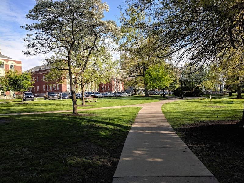 Diamond Park - Image 1