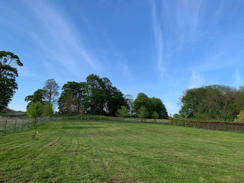 Limber Dog Park Ltd - Image 1