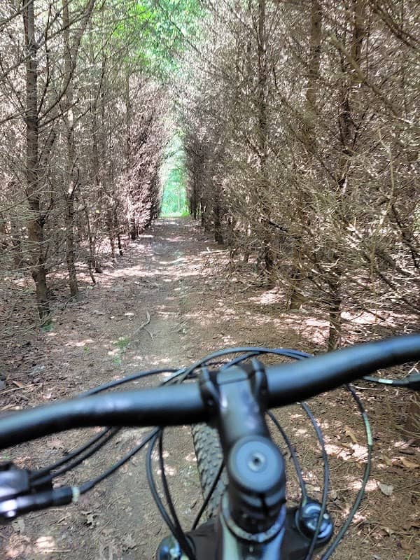 Vulture's Knob Mountain Bike Park - Image 2