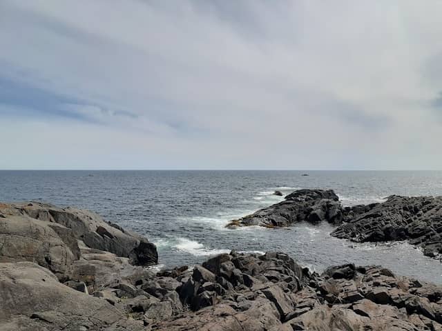 Gull Rock - Image 1