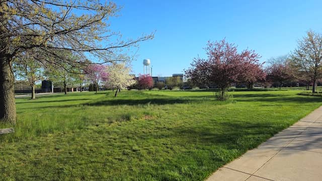 Tall Grass Nap Area - Image 1