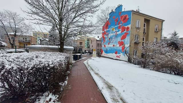 Mural "Nasze Maki" - Image 2