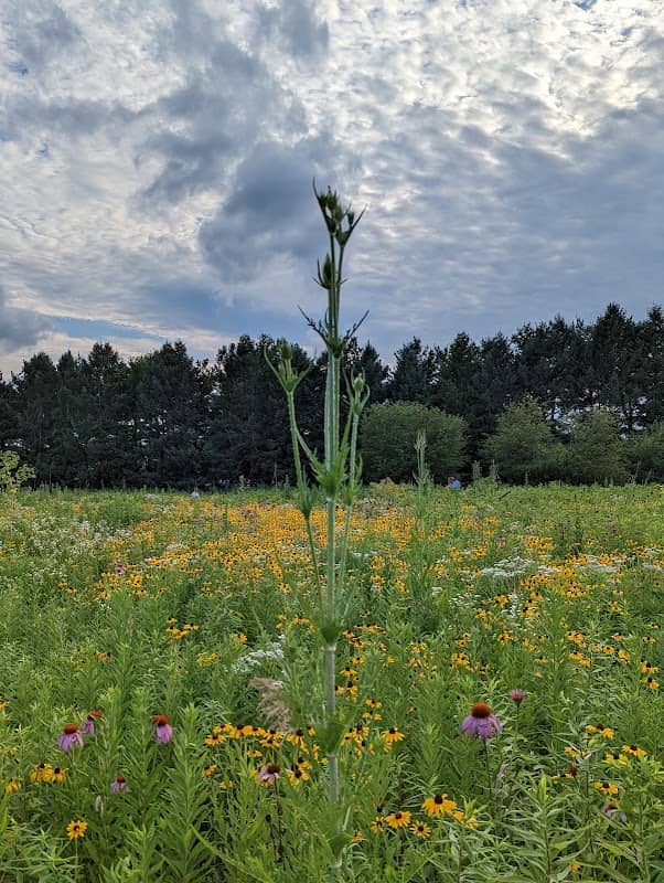 Fransen Nature Area - Image 1
