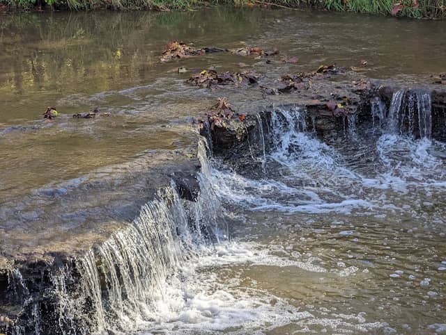 Prairie Creek Greenway - Image 1