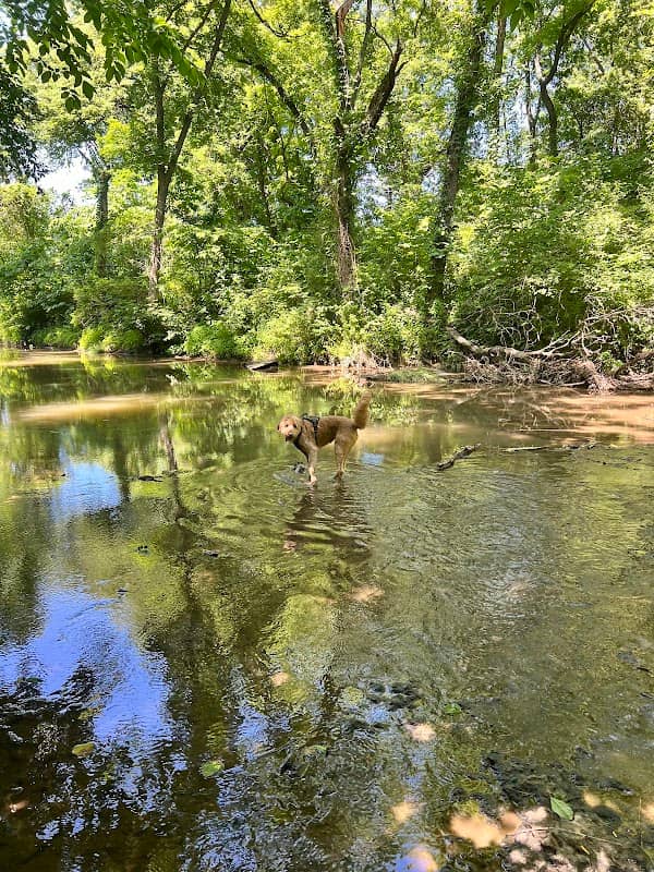Prairie Creek Greenway - Image 2