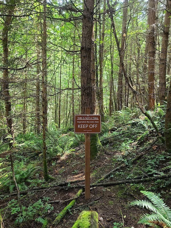 Camano Island Forest Preserve - Image 2