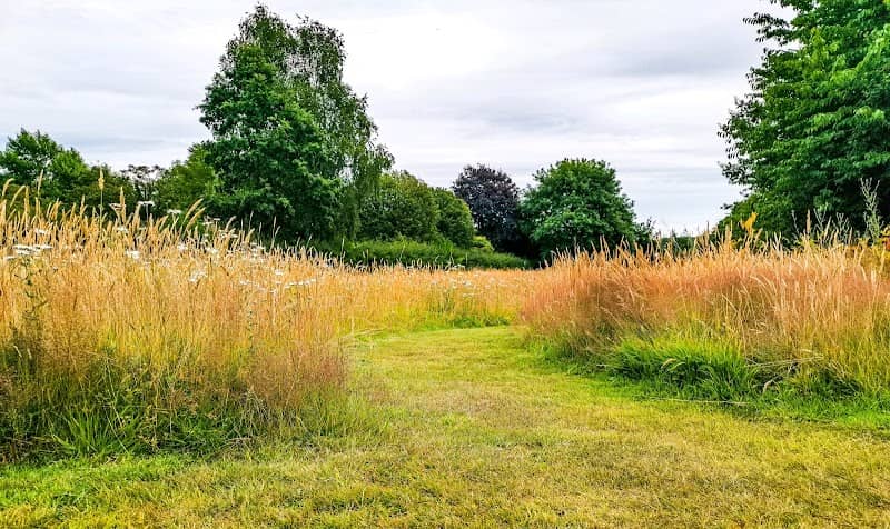 Edgmond Wildlife Group - Image 2