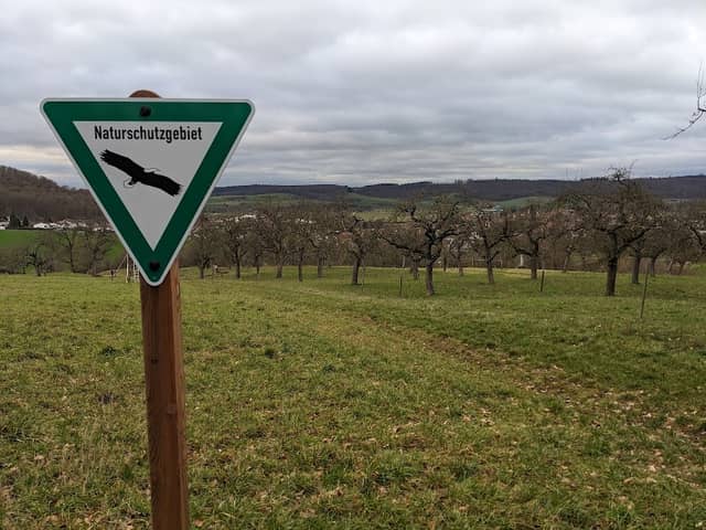 Kalkschutt-Buckelwiese - Image 1