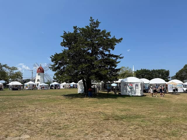 The Great Lawn - Image 1