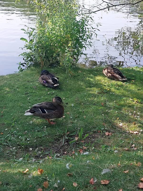 Bad Liebenstein Park - Image 1