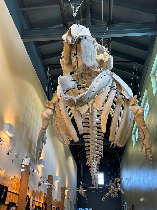 MaST Center Aquarium - Image 1