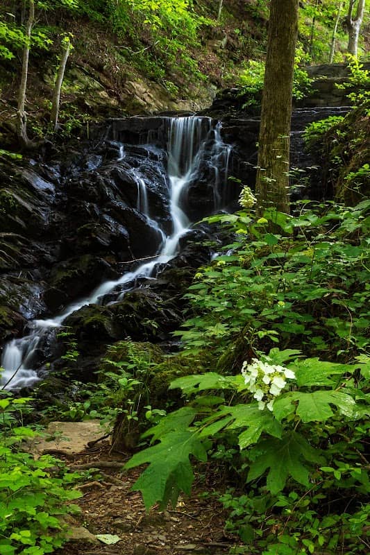 Morgan Lake Waterfalls - Image 1