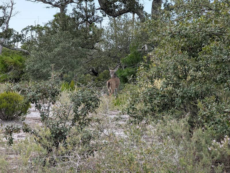 Bay View Scenic Trail - Image 2