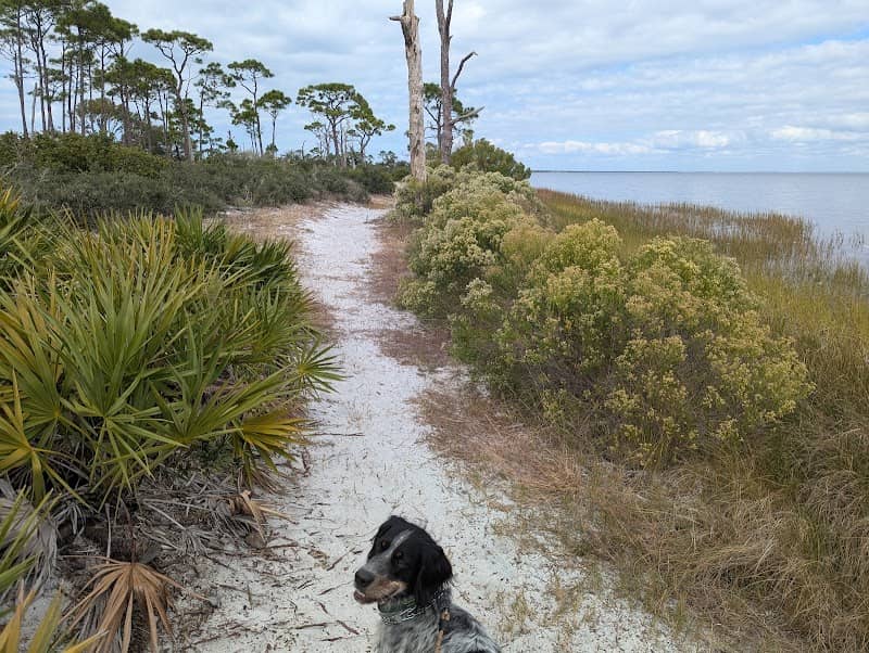 Bay View Scenic Trail - Image 1