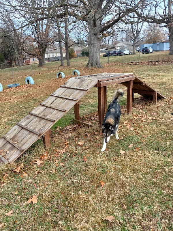 Ward Dog Park - Image 1